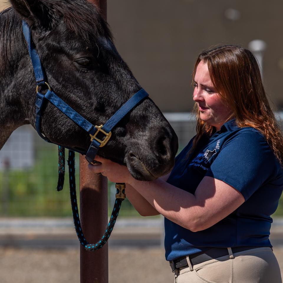 Student close to horse