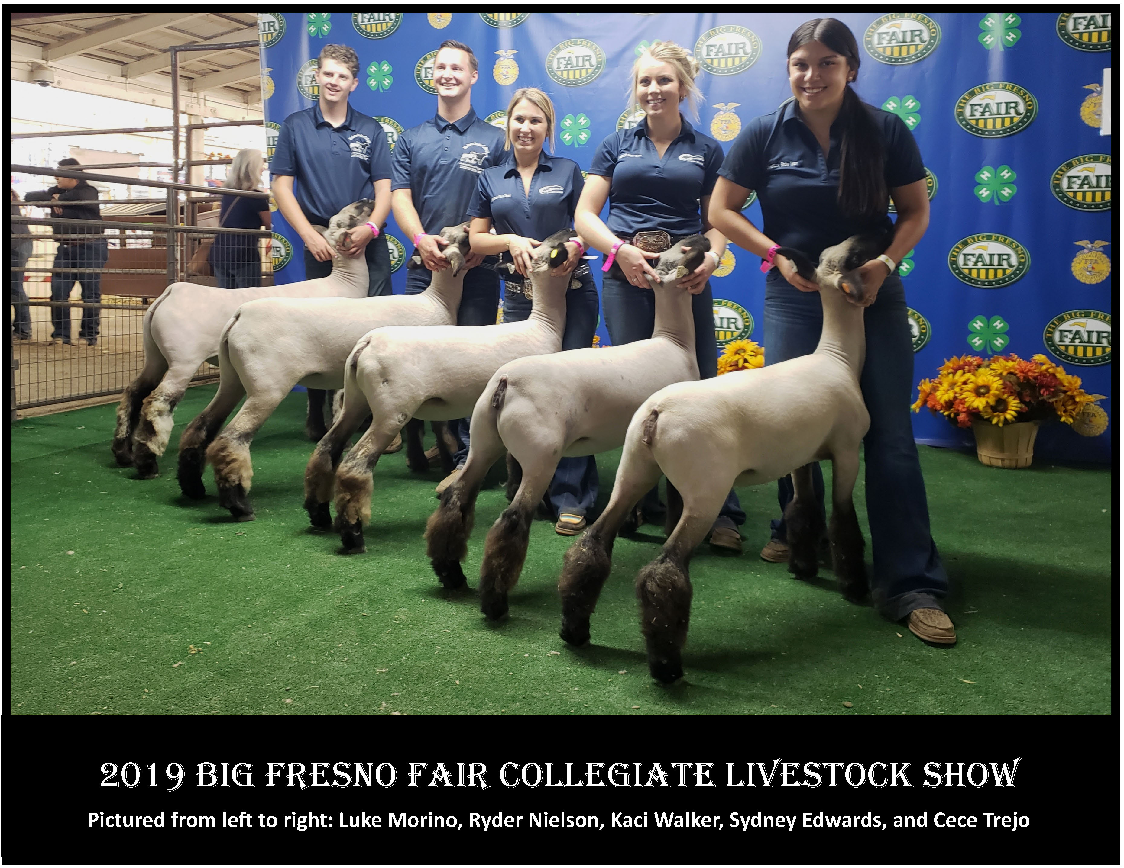 MJC Sheep Team - Fresno