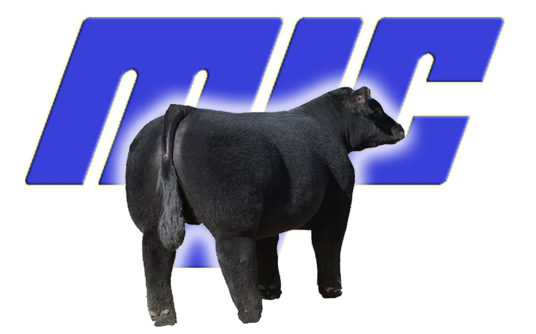 mjc steer logo