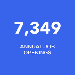 7349 jobs