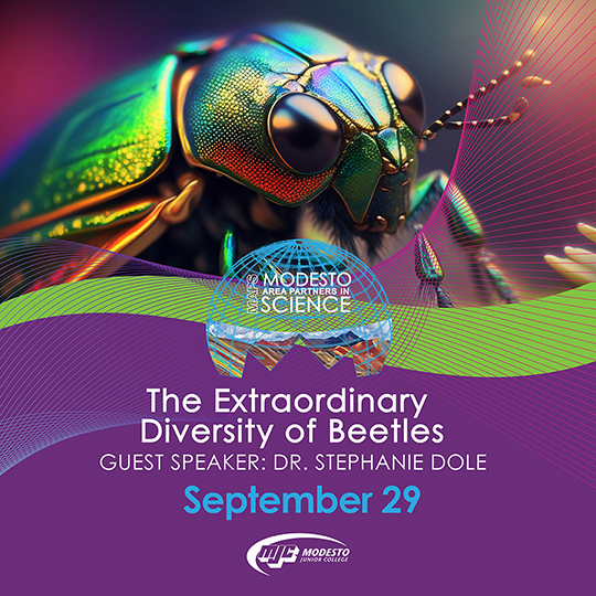 Explore the Extraordinary Diversity of Beetles with entomologist, Dr. Dole