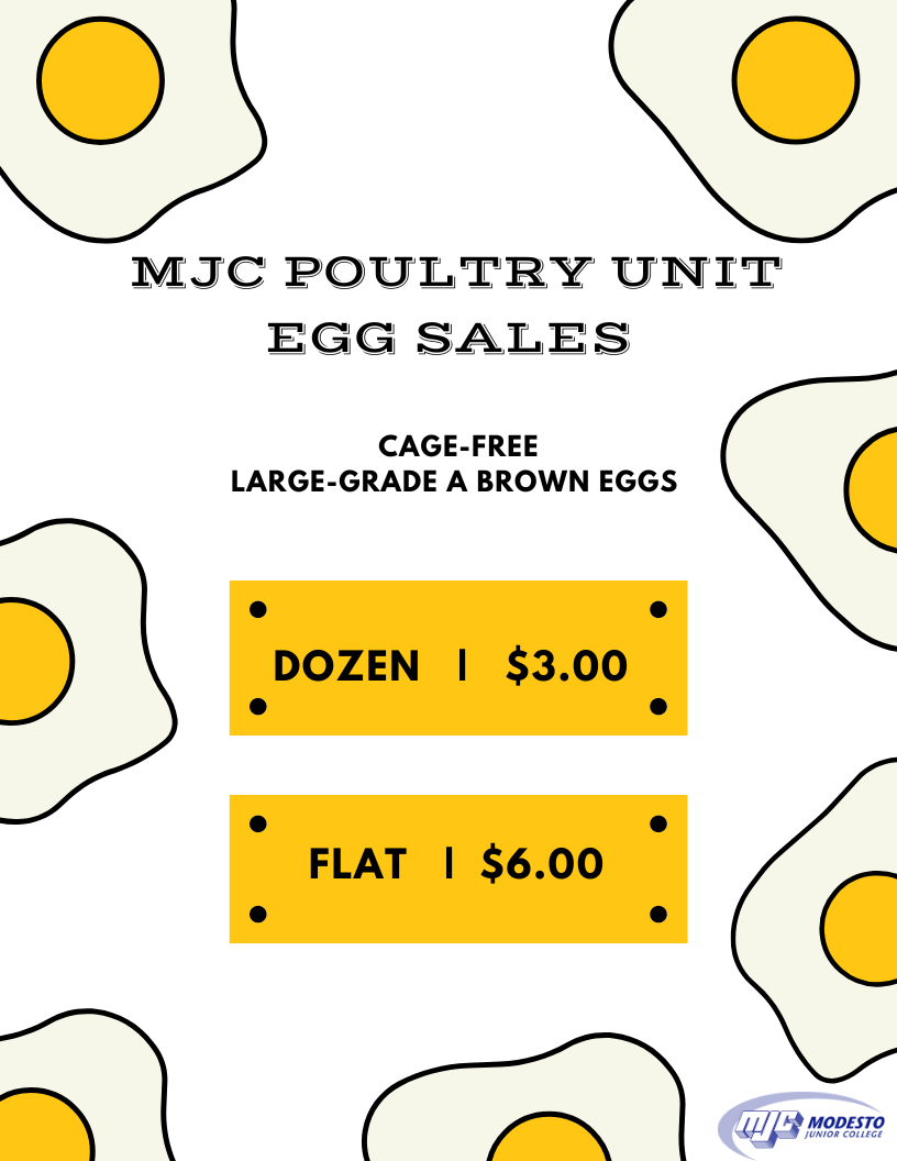 Egg Sales