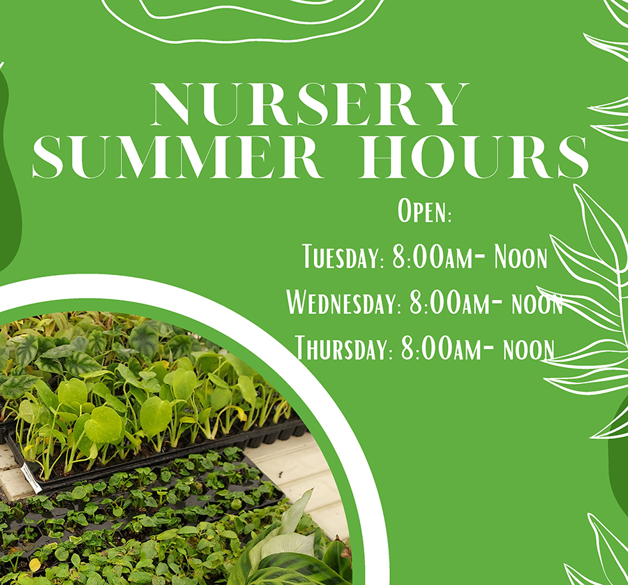 MJC Nursery summer hours - Open Tuesday through Thursday, 8am to Noon